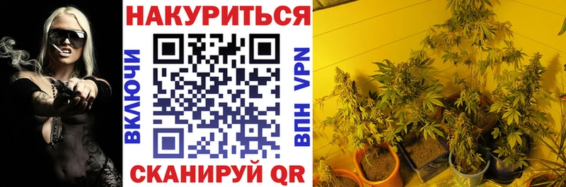 ГАШИШ Майский