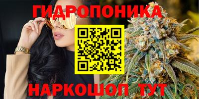прущие крисы Ирбит