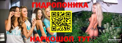прущие крисы Ирбит